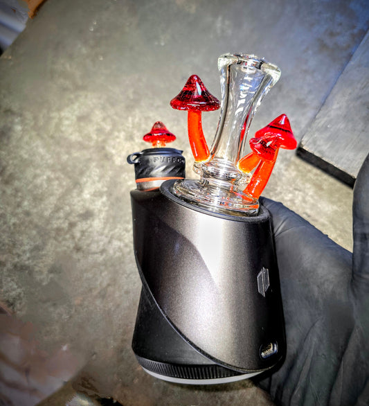 Puffco Dry Top 🍄 Tangelo & Pomegranate